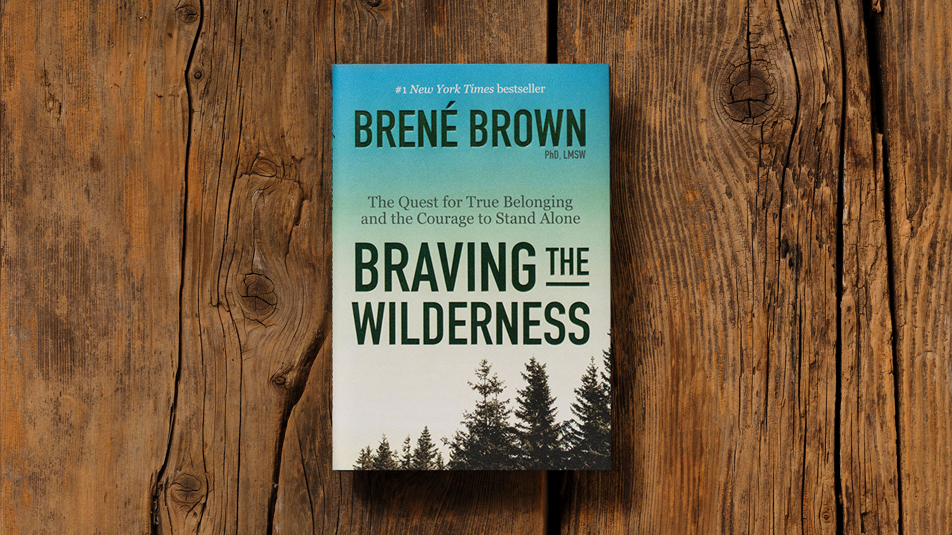 Braving the Wilderness - Brené Brown