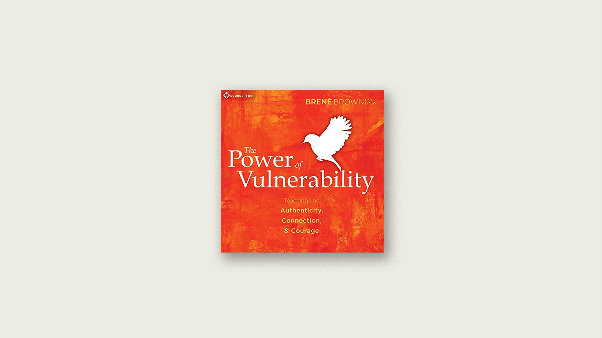 the power of vulnerability book pdf