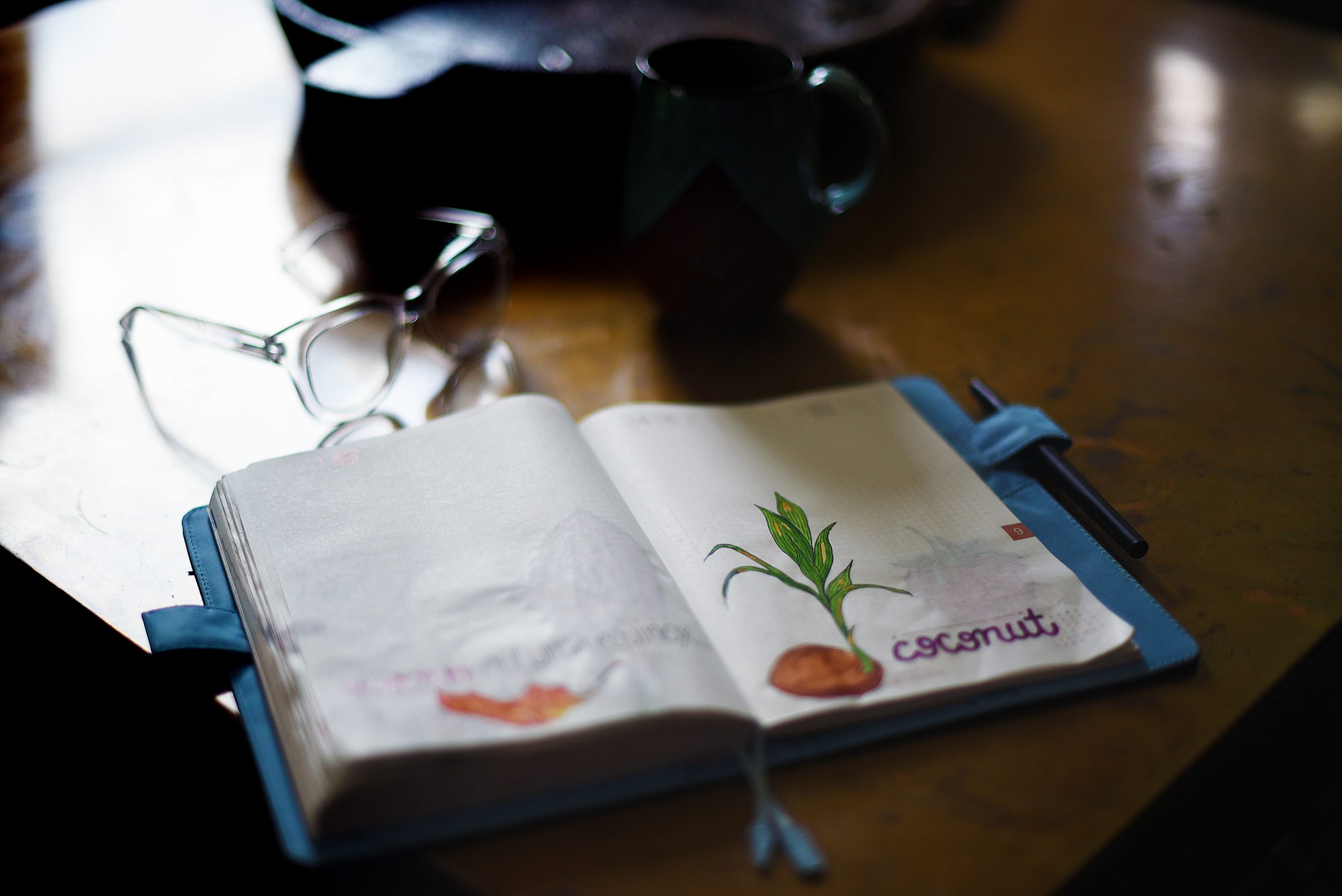 A Karen Walrond journal